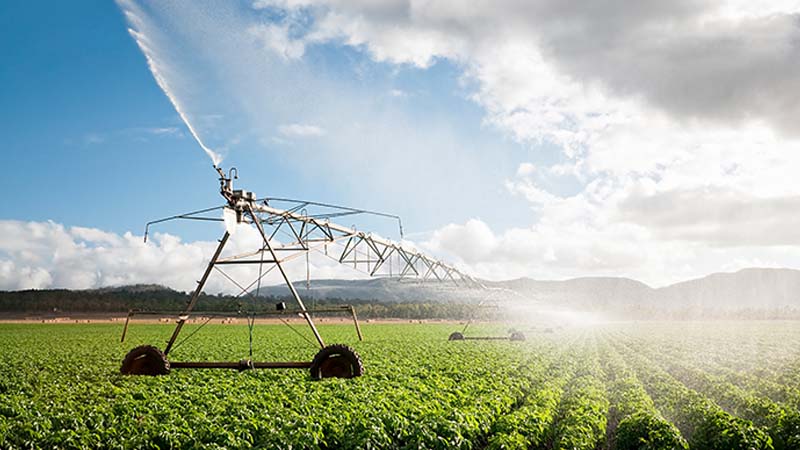 Cultivating Africa's future article image